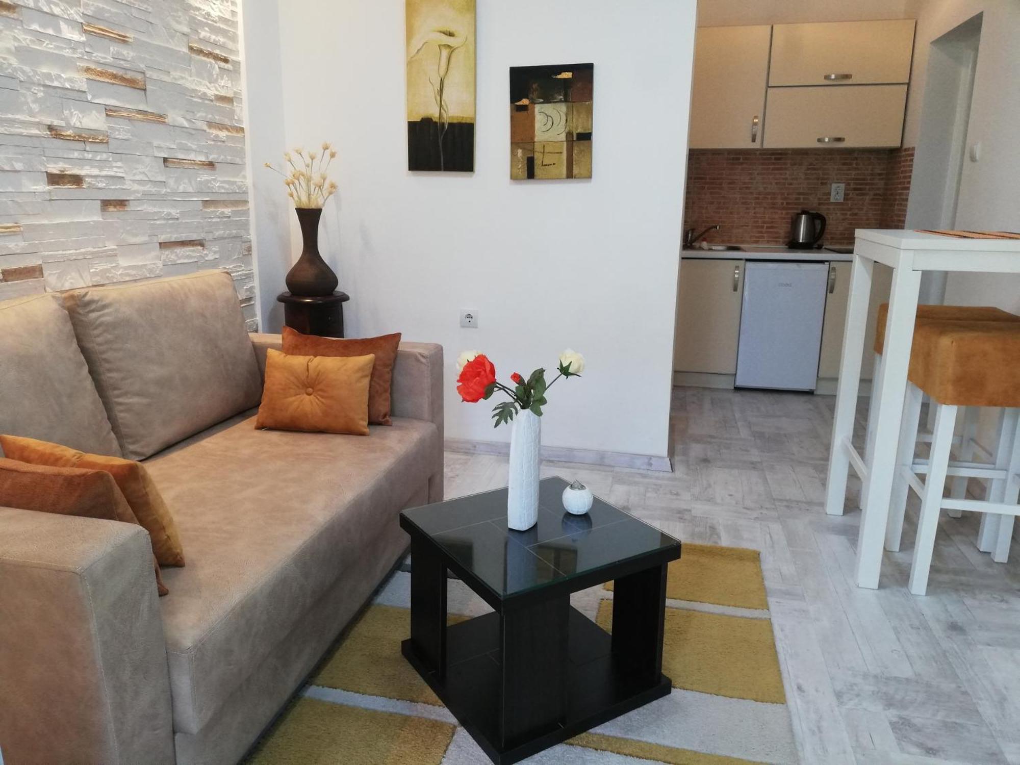 Apartments House 91 Kotor Room photo